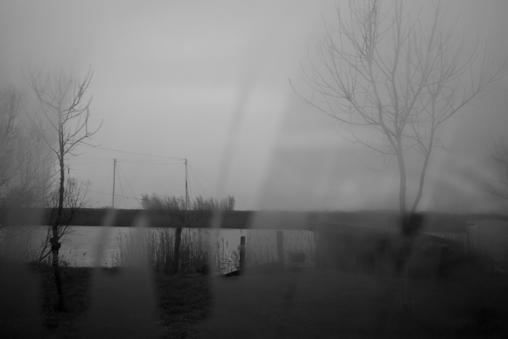 Palpitazione (tenue)