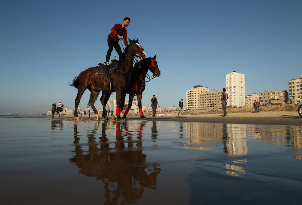 Cavalli di battaglia Il Post
