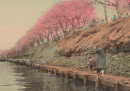 Cartoline dal Giappone di cent'anni fa