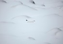 Unstad, Circolo polare artico