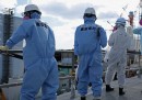 Fukushima 5 anni dopo