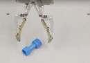I robot di Google che si aiutano a vicenda per imparare da soli