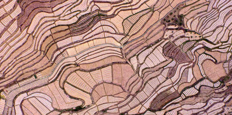 Un campo di angurie visto dall'alto 


(Xinhua/Wei Wanzhong)