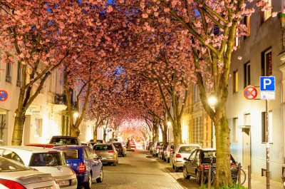 Bonn, Germania