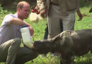 Il video di Kate Middleton e il principe William che allattano piccoli rinoceronti ed elefanti