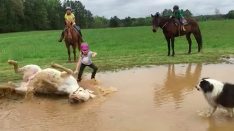 I pony ADORANO il fango