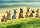 BBC e Netflix faranno un film su "La collina dei conigli"