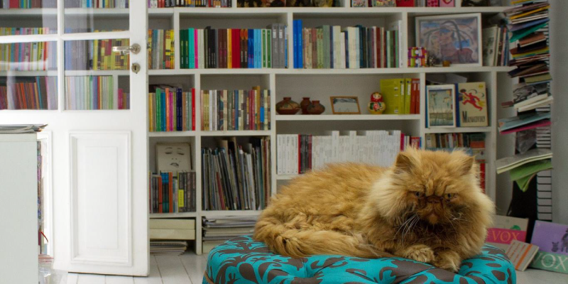 La libreria casalinga Mi Casa di Buenos Aires, nel quartiere di Villa Crespi (Facebook)