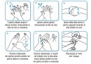 Il modo migliore per lavarsi le mani, secondo la scienza