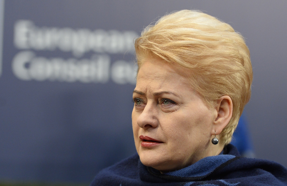 Dalia Grybauskaitė, Lituania