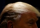 C'è una nuova teoria sui capelli di Trump