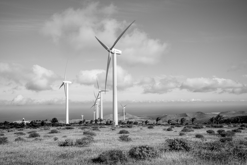 Il vento ci ha portato qui