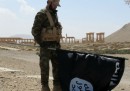 L'ISIS si è messo d'accordo con Assad per ritirarsi da Palmira?