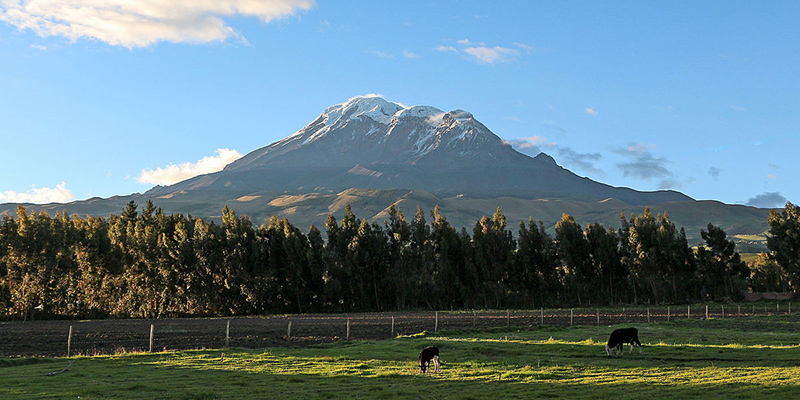 Il monte Chimborazo (Bernard Gagnon - Wikimedia)