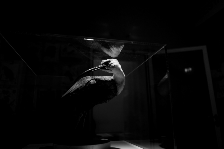 Il ricordo che lasceremo