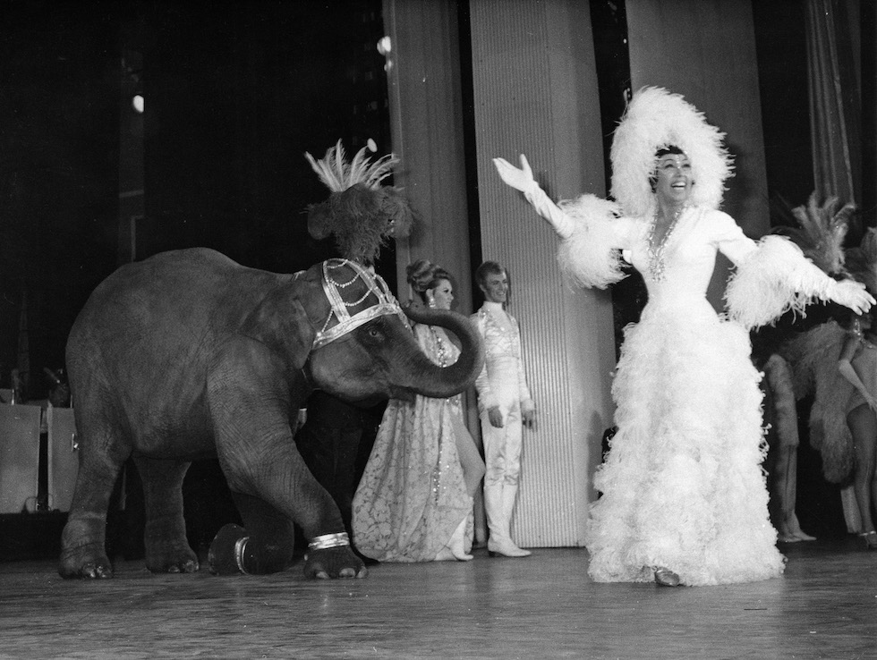 Josephine Baker con un elefante