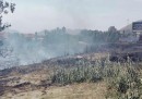 Le foto degli incendi in Sicilia