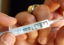 Il Consiglio di Stato ha dato parere favorevole alle vaccinazioni obbligatorie per i bambini iscritti a scuola