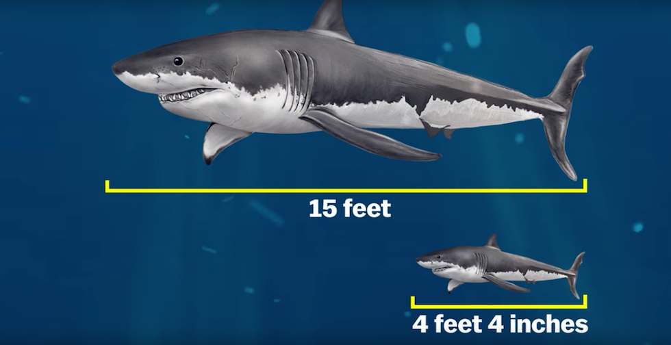 Schermata 2016-07-11 alle 16.13.01