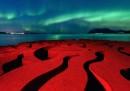 Le foto finaliste dell'Insight Astronomy Photographer of the Year