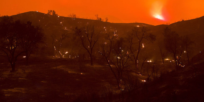 Placerita Canyon a Santa Clarita, California, 24 luglio 2016
(David McNew/Getty Images)