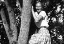 Che ci fanno tutte queste donne sugli alberi?