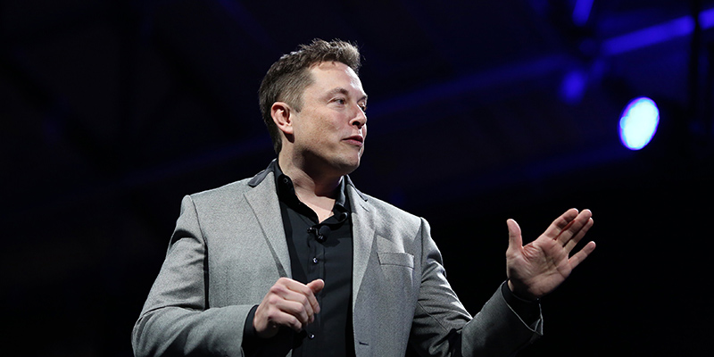 Elon Musk (DAVID MCNEW/AFP/Getty Images)