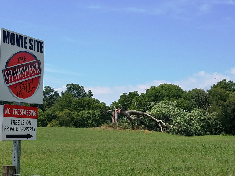 Si è rotta la quercia di “Le ali della libertà”