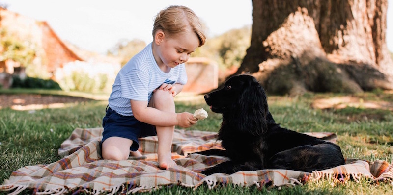 Una foto non datata del principe George che dà da mangiare il gelato al suo cane Lupo a Sandringham nel Norfolk. La foto è stata diffusa il 22 luglio dai genitori Kate e William, duchi di Cambridge, per il terzo compleanno del principe. 
(Matt Porteous/Handout via AP)