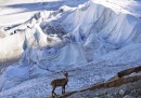 Le foto del ghiacciaio del Rodano, coperto