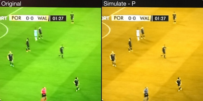 Perché Portogallo e Galles hanno giocato con quelle strane maglie?