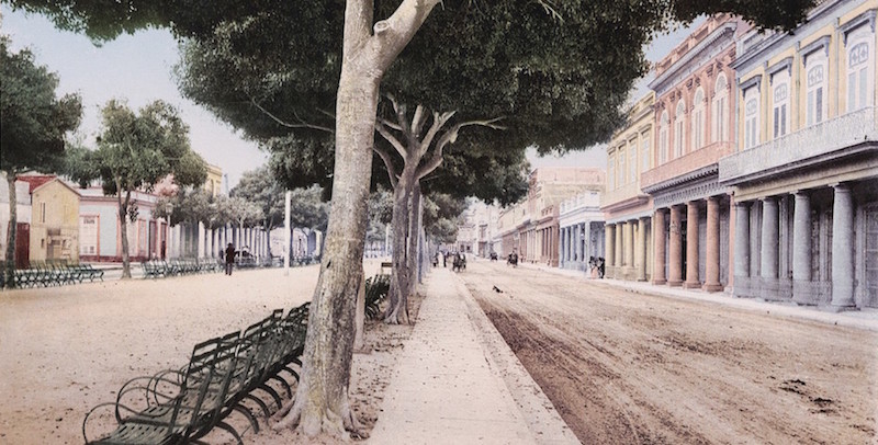 Il Paseo del Prado, la strada del passeggio all'Avana
(Beinecke Rare Book &amp; Manuscript Library)