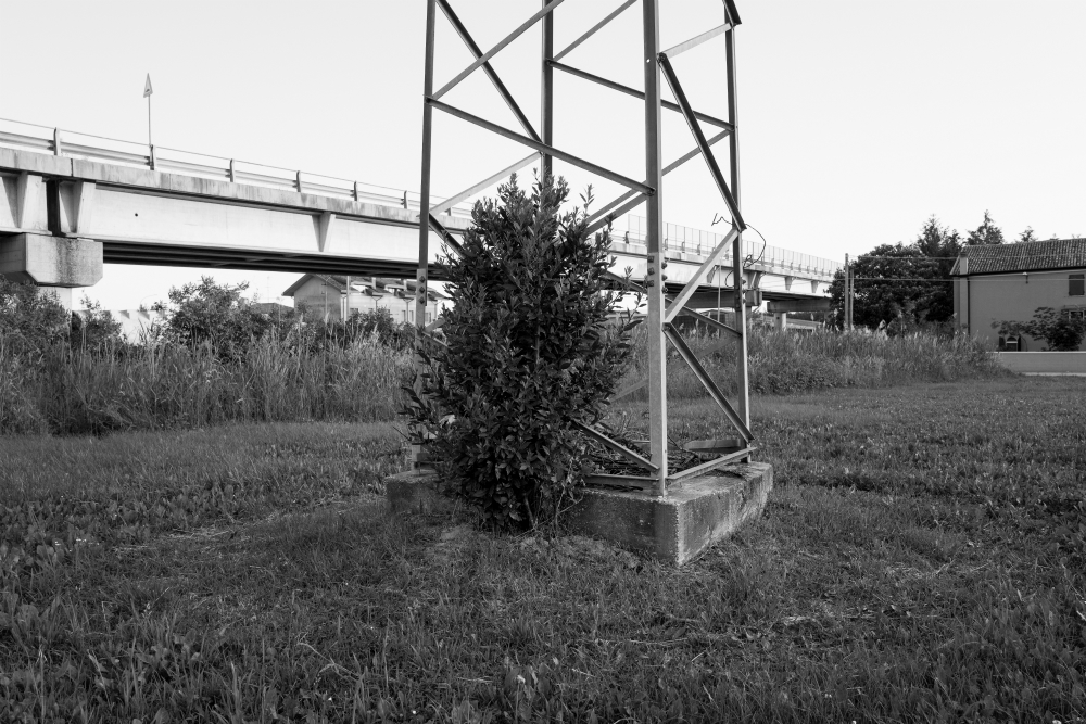 Ad un ritmo più lento