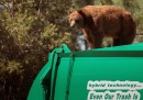 L'orso salito sul camion della spazzatura a Santa Fe