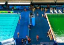 L'acqua della piscina dei tuffi di Rio 2016 è diventata verde