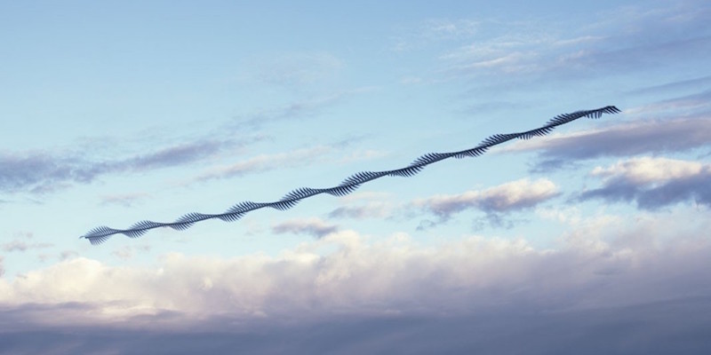 Ornitographie #16 di Xavi Bou, mostra il volo di un gabbiano corso (Larus audouinii) sul delta dell'Ebro, in Catalogna
