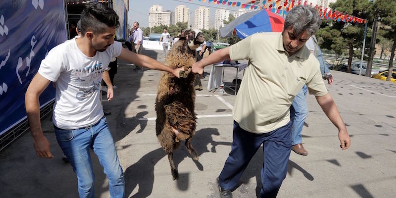 Le foto dell’Eid al-Adha, la “festa dello sgozzamento”