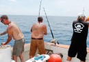 A caccia di squali