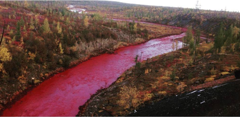 In Russia c’è un fiume che è diventato rosso
