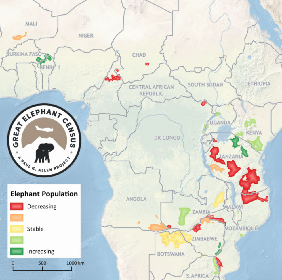 grande-censimento-elefanti