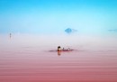 Le foto del lago di Urmia, rosa e blu