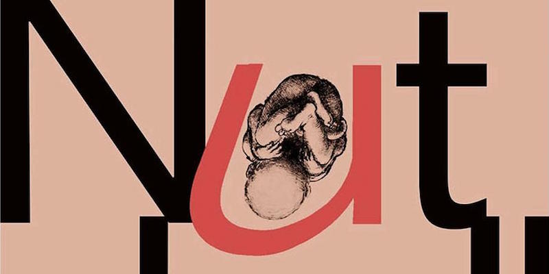 Un dettaglio della copertina dell'edizione britannica di "Nutshell" di Ian McEwan, pubblicato l'1 settembre 2016 dalla casa editrice Jonathan Cape