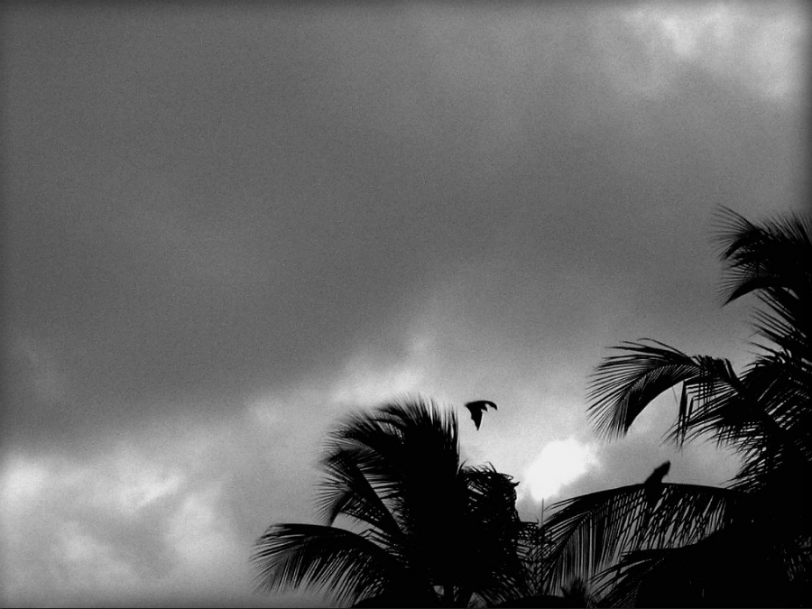 Pochissimo tempo prima