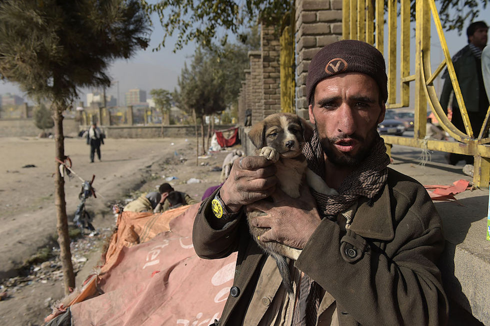 Un uomo che soffre di tossicodipendenza regge il suo cane in un parco della città (SHAH MARAI/AFP/Getty Images)