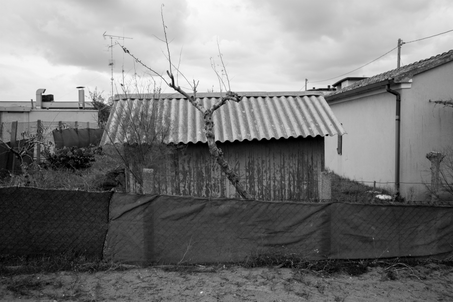 Come suono di stelle