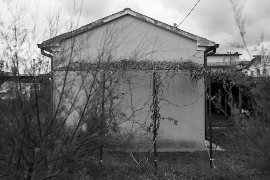 Si sente ancora il profumo