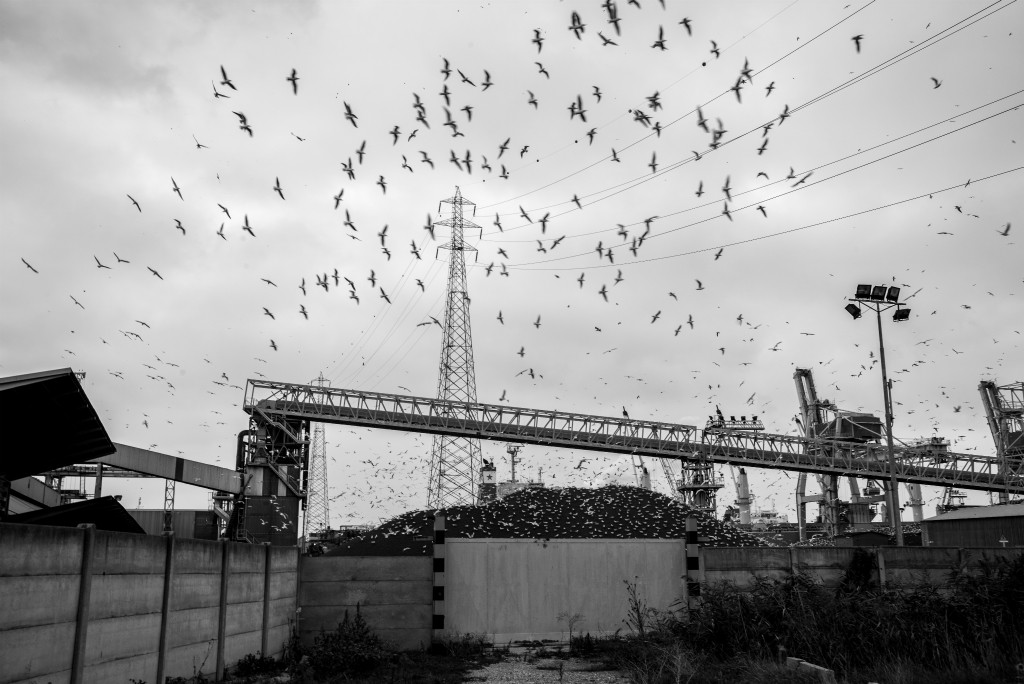 Cosa Resta (racconti d’osservazione)