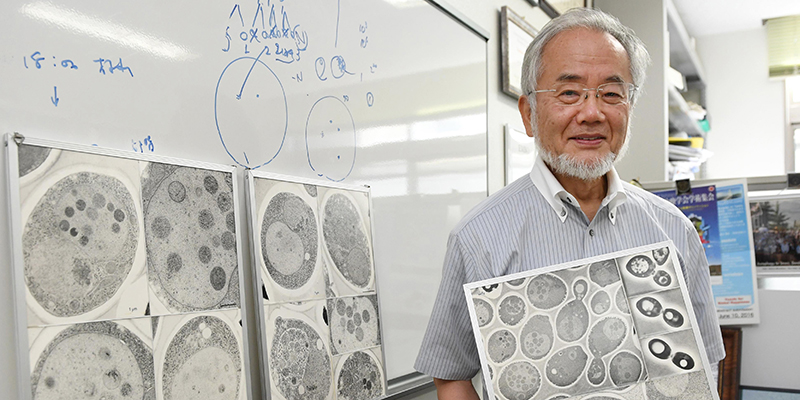 Yoshinori Ohsumi (Akiko Matsushita/Kyodo News via AP)