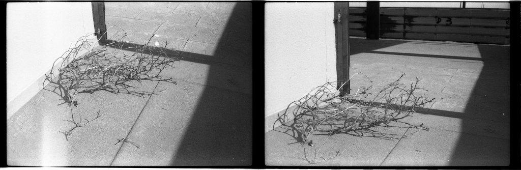 Ricordi di precisi istanti