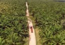 Lo spot di Ferrero sui suoi prodotti e l'olio di palma